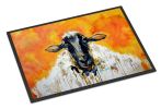 NEW Peach Wool Sheep Doormat Front Door Mat Indoor Outdoor Rugs for Entryway, Non Slip Washable Low Pile, 18H X 27W
