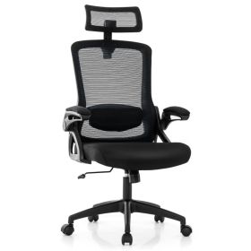 Adjustable Swivel Task Chair Ergonomic Office Chair with Adjustable Lumbar Support (Color: Black)
